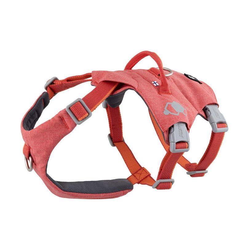 hurtta-safeguard-harness-strawberry.jpg